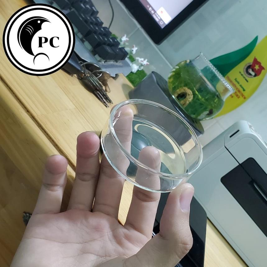 Khay , đĩa thức ăn cho cá ,tép thủy sinh bằng thủy tinh trong suốt - Phụ kiện chứa , đựng thức ăn cá tép cảnh giá tốt
