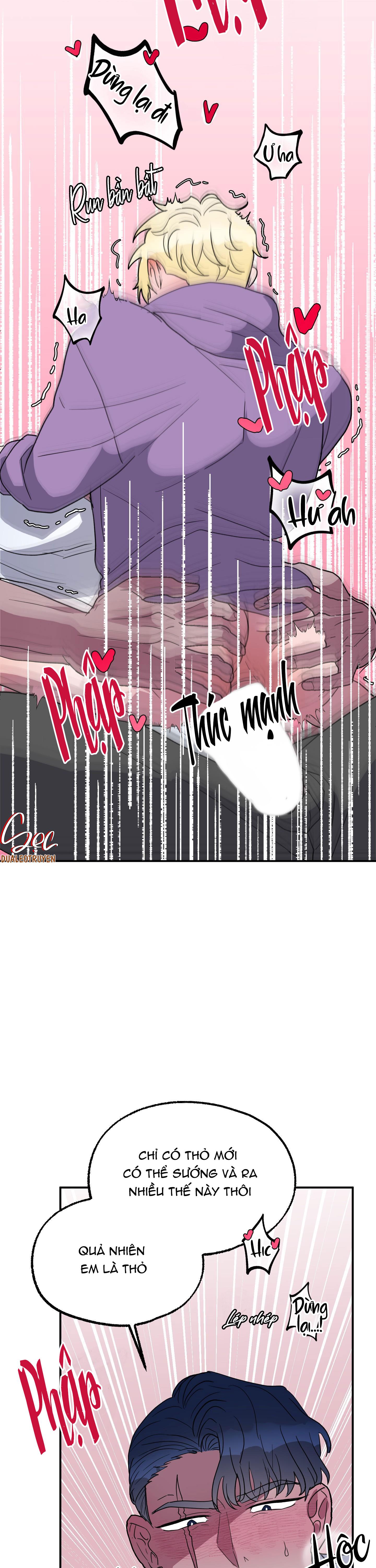 cá mập và cô dâu thỏ chapter 3 22