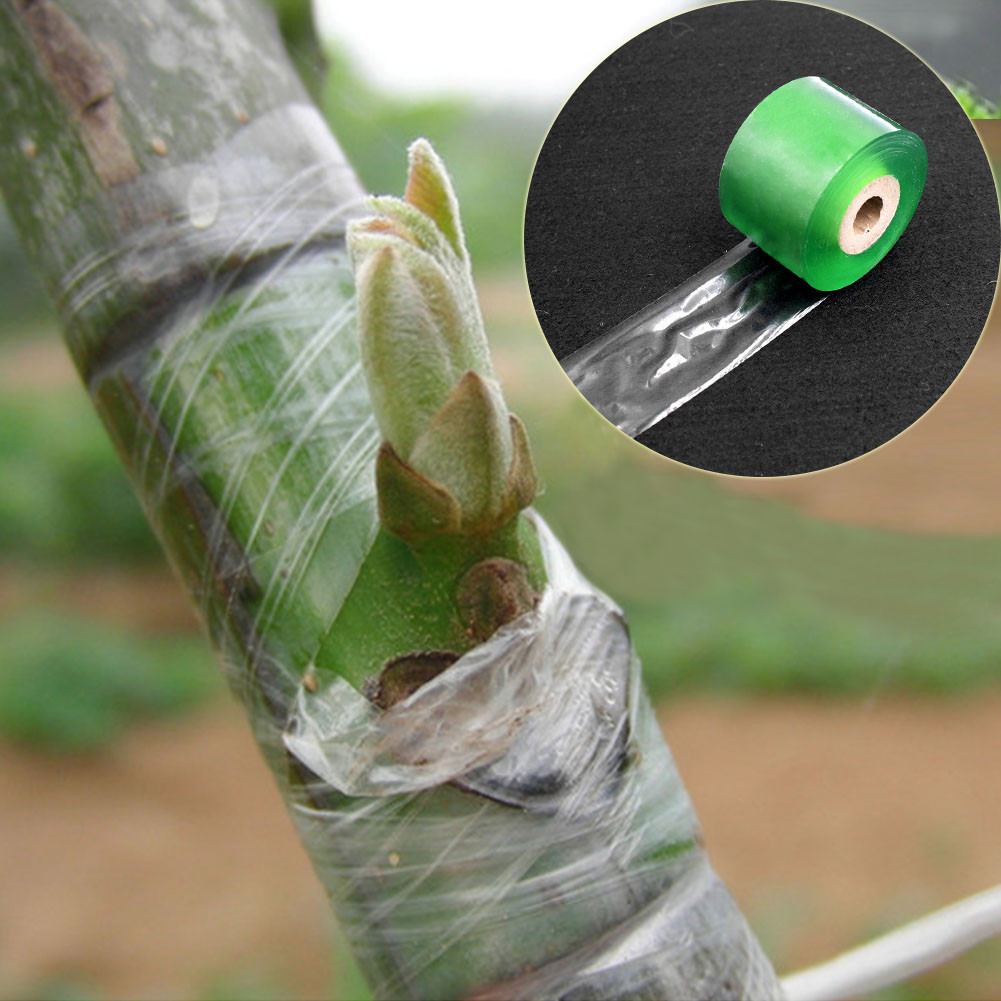 CUỘN BĂNG KEO GHÉP CÂY CHỐNG ẨM TIỆN LỢI - 10cm