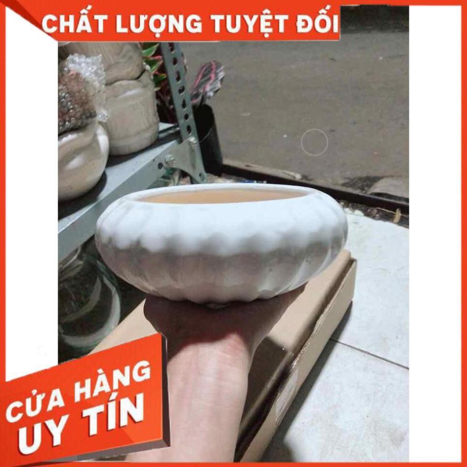Chậu Trồng Cây Nhiều Người Mua