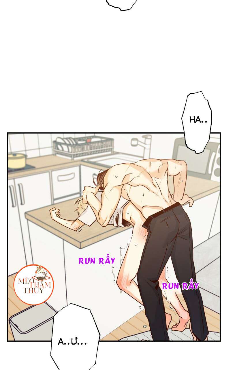 cửa hàng tiện lợi nguy hiểm chapter 33 33