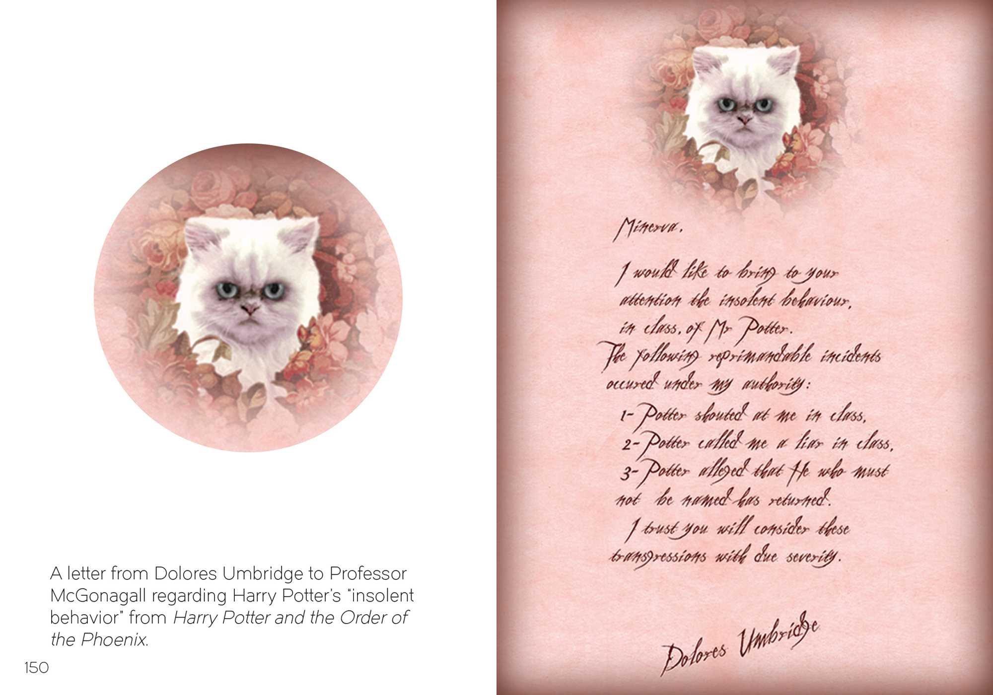The Art Of Harry Potter: Mini Book Of Graphic Design