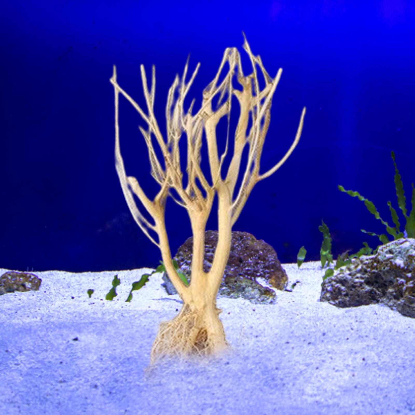 Aquatic  Aquarium Driftwood  Trunk Tree Branch Terrarium Decor