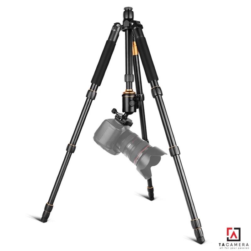 Chân máy ảnh - Tripod &amp; Monopod 2in1 Q666