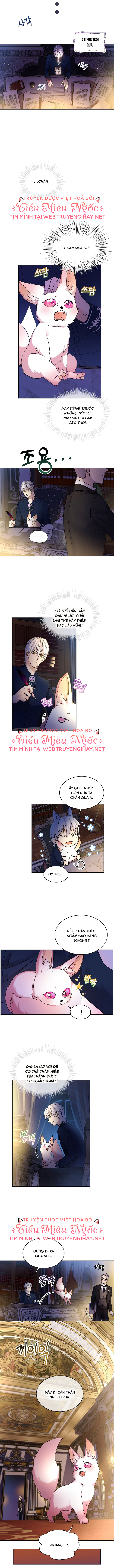tái sinh thành vị thần baby chapter 7 6