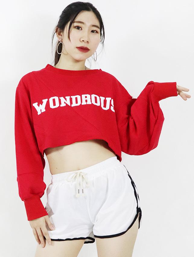 Áo Croptop Form Rộng Wonderous