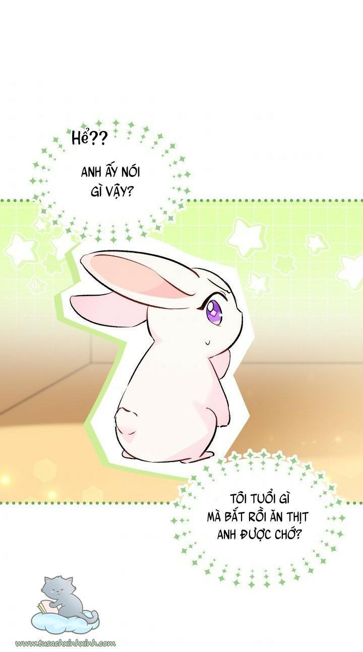 quan hệ cộng sinh giữa báo đen và thỏ trắng chapter 56 74
