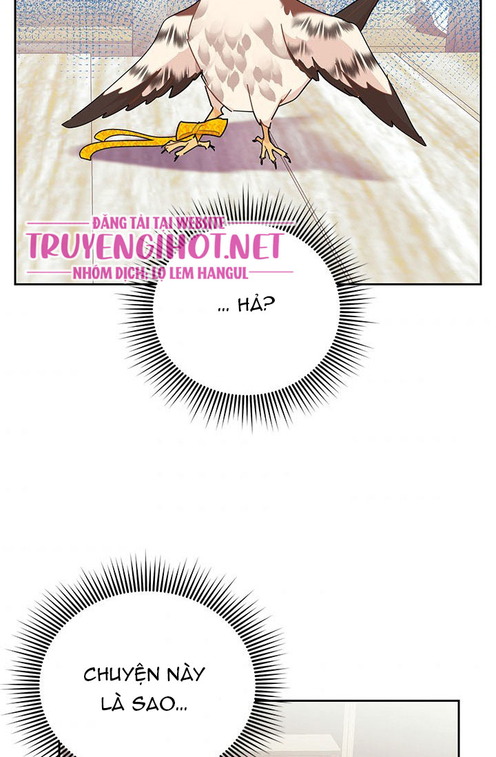 công chúa của loài chim chapter 34 63