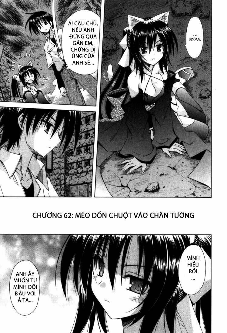 omamori himari chapter 62 2