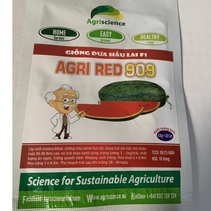 Hạt Giống Dưa Hấu Hắc Mỹ Nhân - Agri RED 909 -