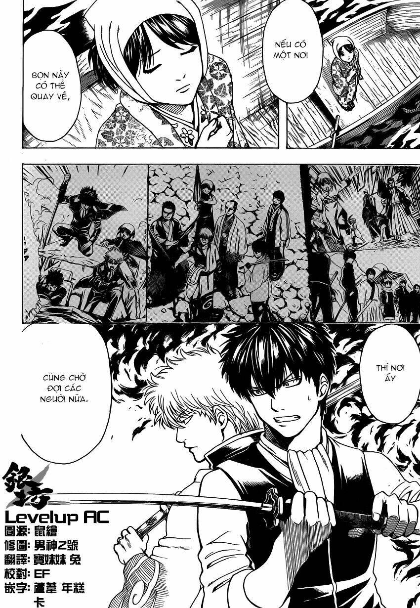 gintama - linh hồn bạc chapter 532 6