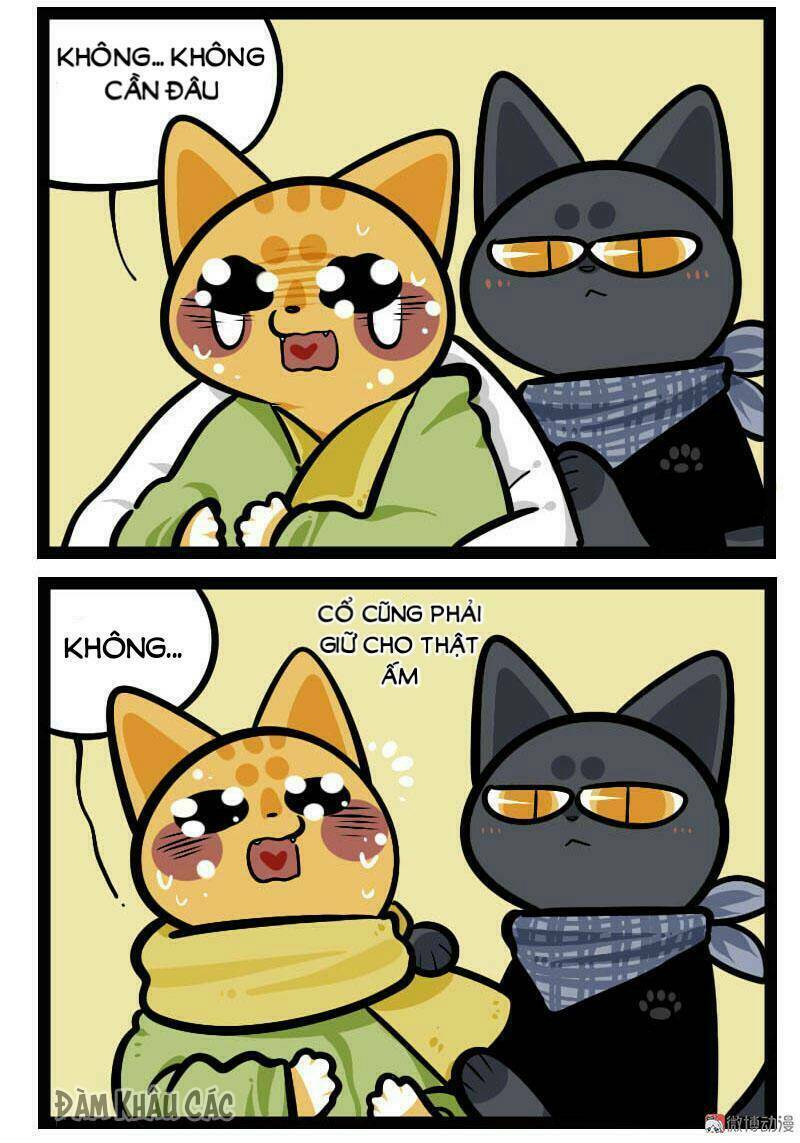 đời không như mình tưởng chapter 57 6