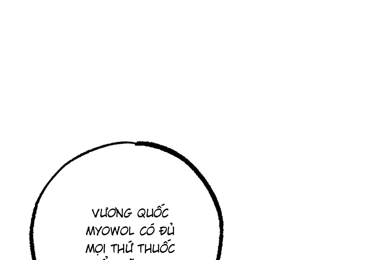 những chú thỏ của hapypy chapter 61 21