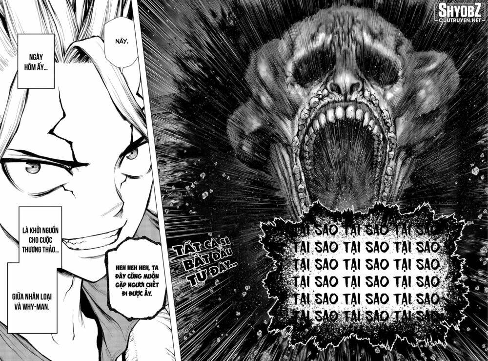 dr.stone - hồi sinh thế giới chapter 229 20