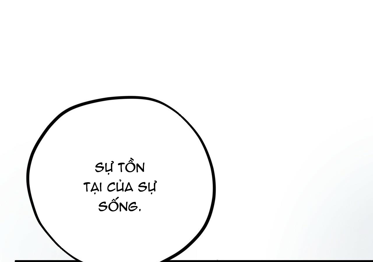 đàn thỏ của habibi chapter 20 171