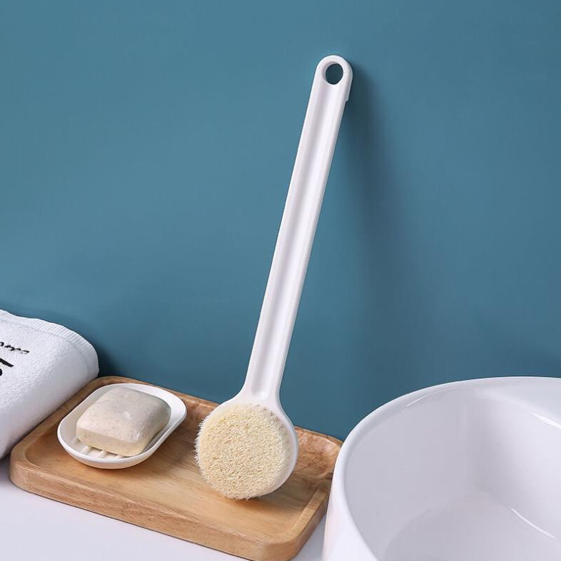 Cây Cọ Lưng, Bàn Chải Chà Lưng Nhật Bản