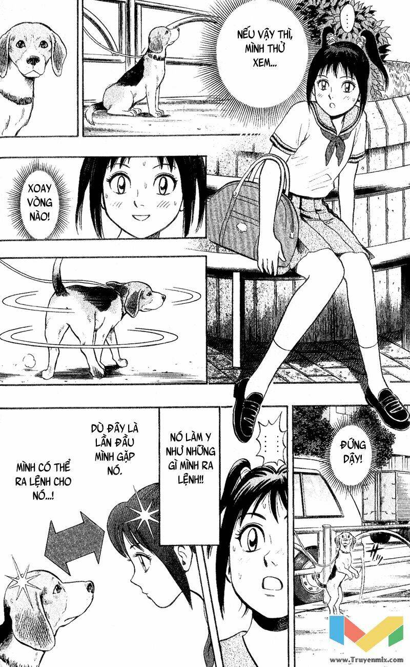 animal sense chapter 1 29