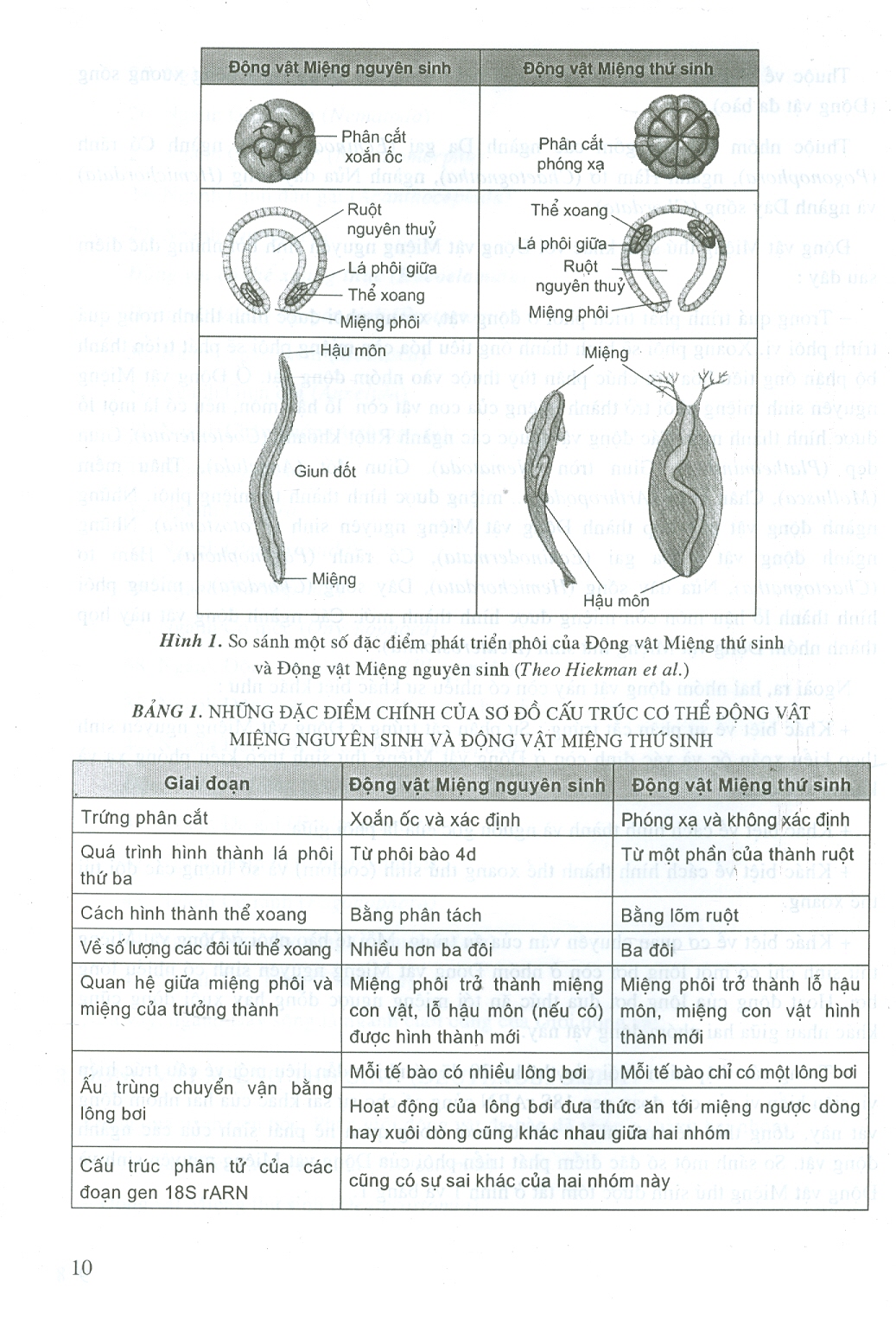 Động Vật Học Có Xương Sống