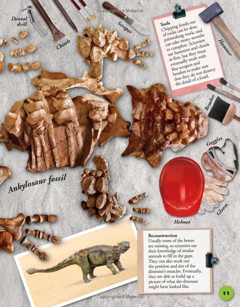 Sách ngoại văn: Everything You Need To Know About Dinosaurs