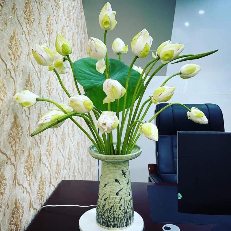 Lọ hoa búp bê cắm hoa siêu đẹp
