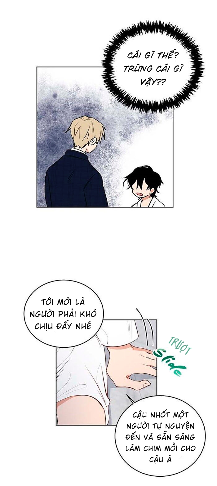 thành phố cạm bẫy chapter 7 17