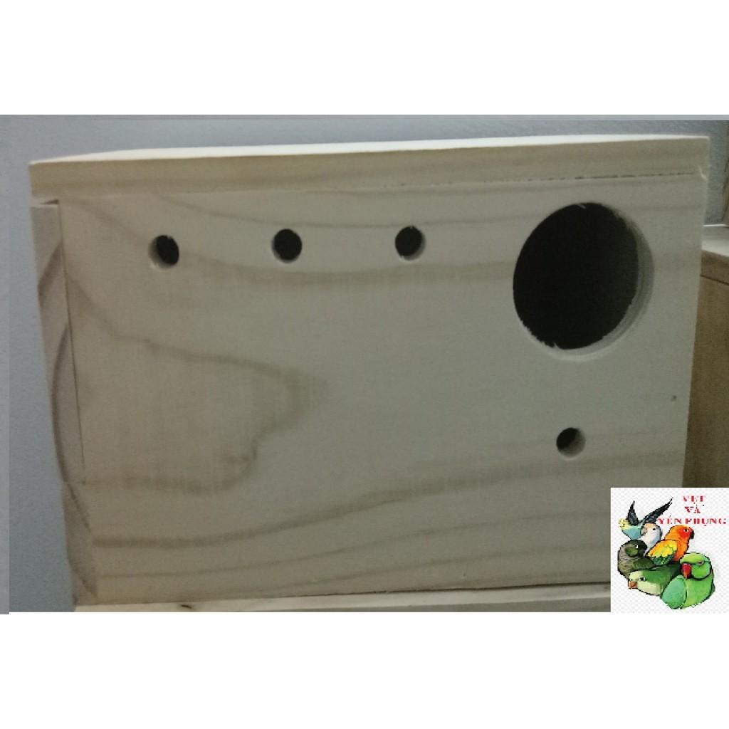 TỔ ĐẺ YẾN PHỤNG NẮP TRÊN GỖ THÔNG NGUYÊN KHỐI