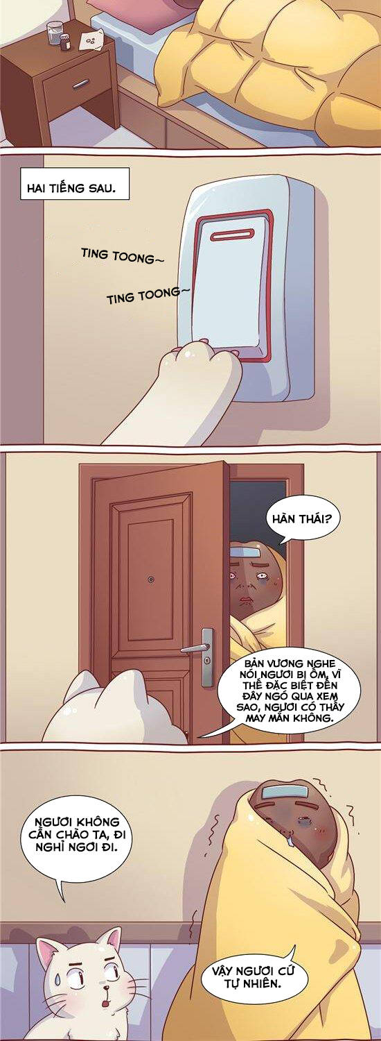 cây nấm kì khả chapter 26 5