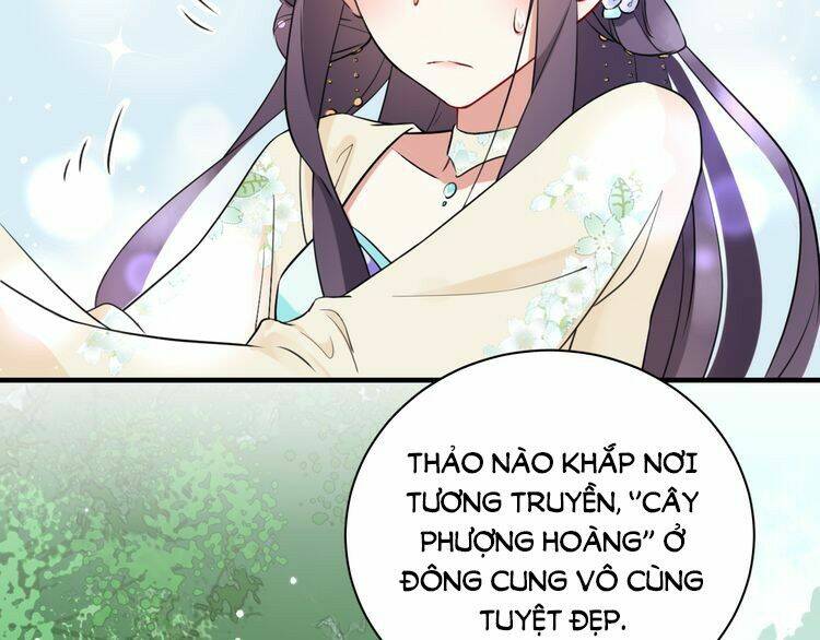 hoa nhan sách chapter 5.1 10