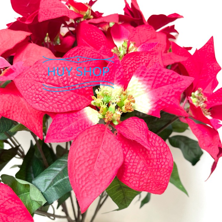 BỤI HOA TRẠNG NGUYÊN VẢI NHUNG CAO CẤP 21 NHÁNH