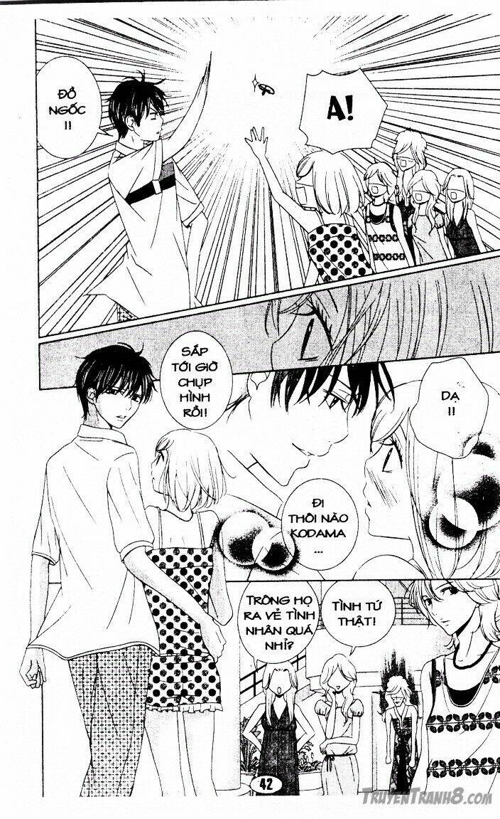 hôn cánh hoa yêu chapter 8 16