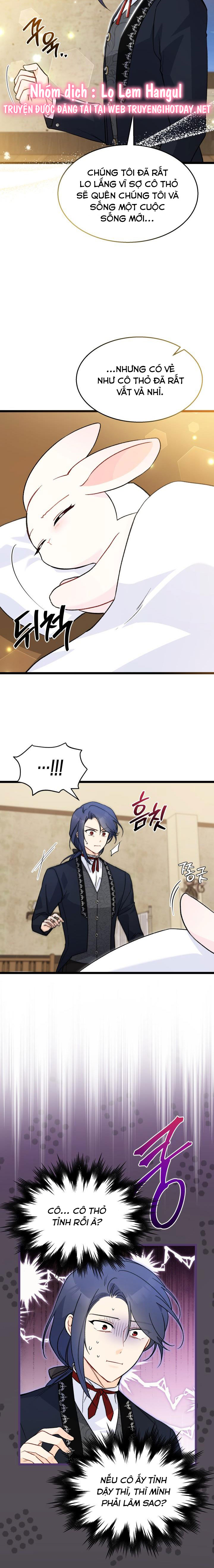 mối liên kết giữa báo đen và bé thỏ chapter 129 16