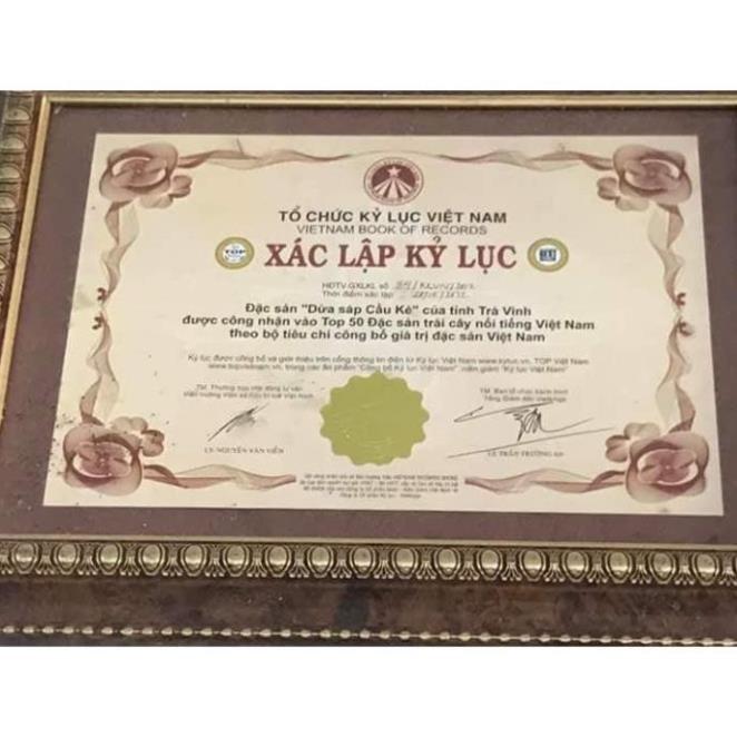 Dừa Sáp Giống - Được Ươm tại vườn Cầu Kè, Trà Vinh