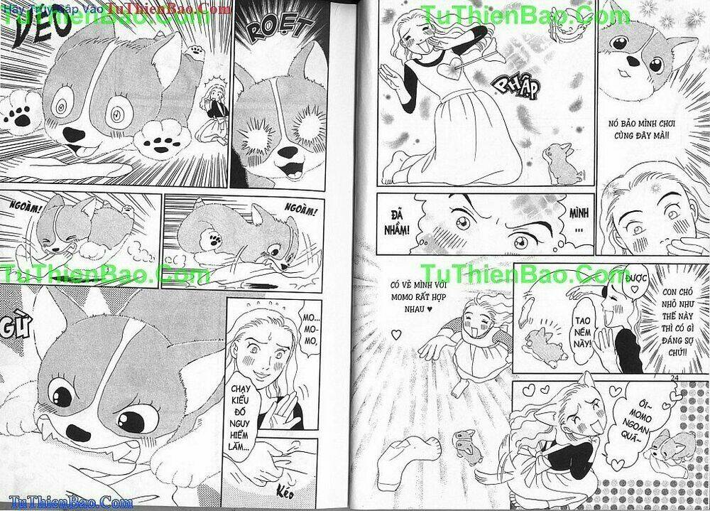 chó con mo mo chapter 1 13