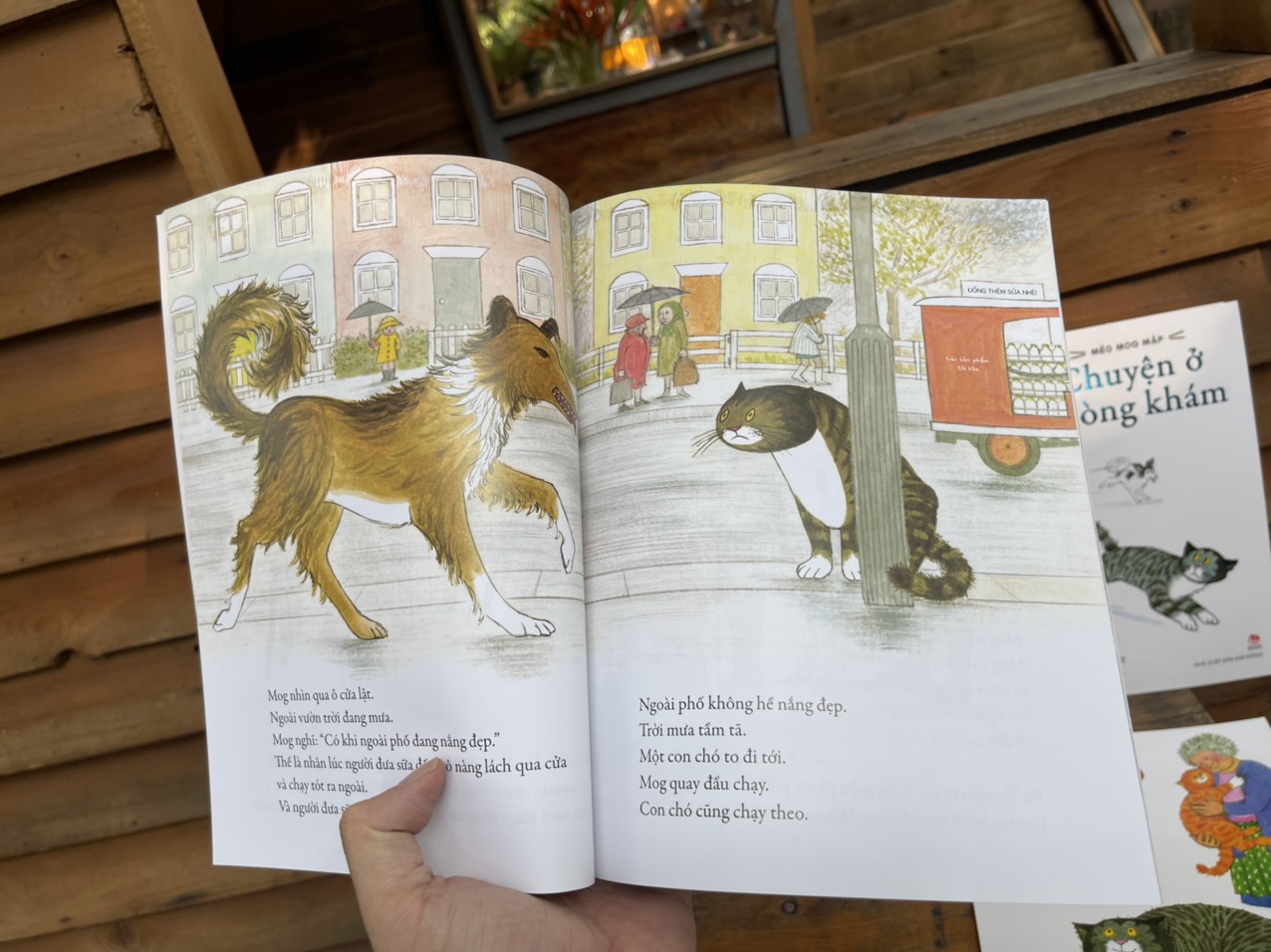 MÈO MOG MẬP – Judith Kerr – Hằng Nga dịch – NXB Kim Đồng