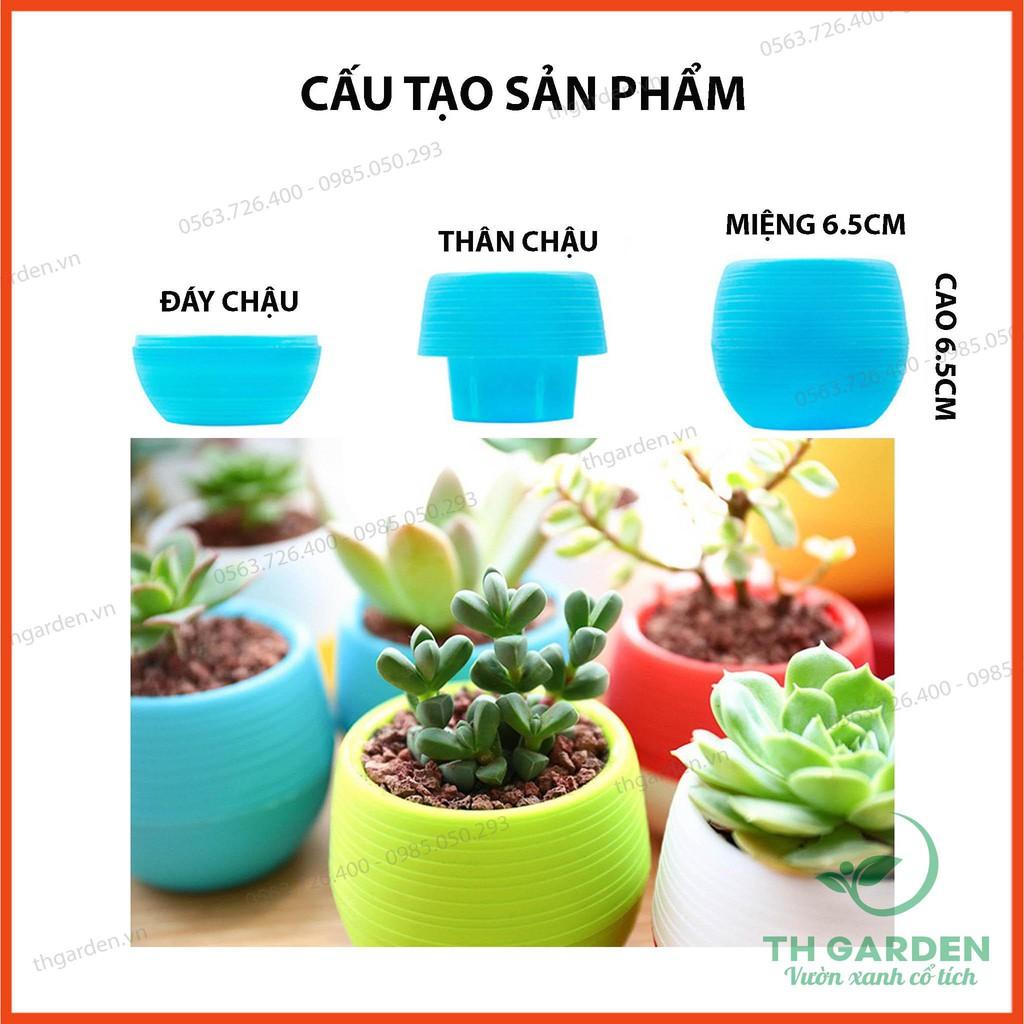 Chậu Trồng Cây Mini 7x7cm Có Đáy Trữ Nước - Chậu Hoa Đa dạng màu sắc - Trang trí nhà cửa, văn phòng tuyệt đẹp