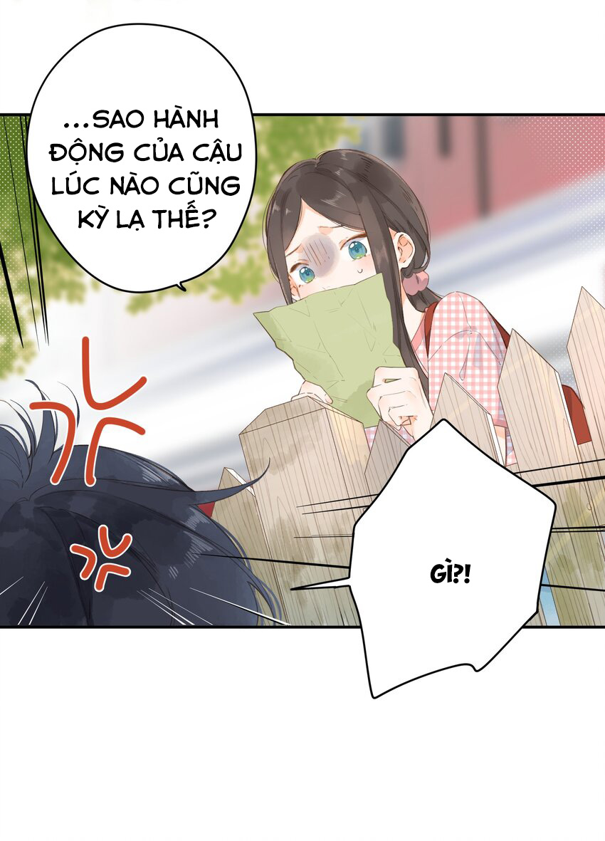 tiệm hoa hướng dương ở góc phố chapter 5 10