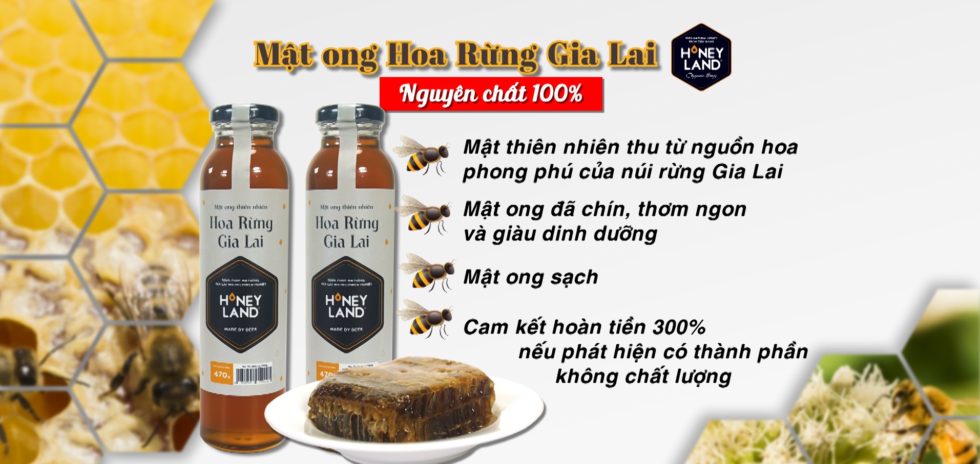 MẬT ONG HOA RỪNG GIA LAI 470G