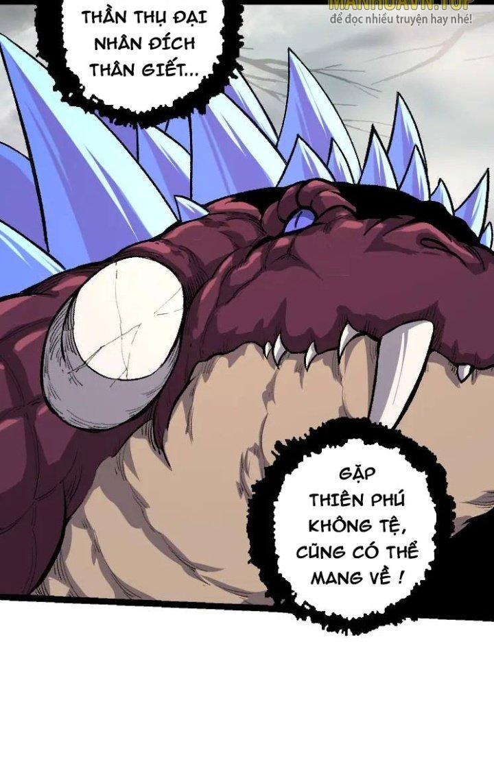 từ cây cổ thụ bắt đầu tiến hóa chapter 40 17