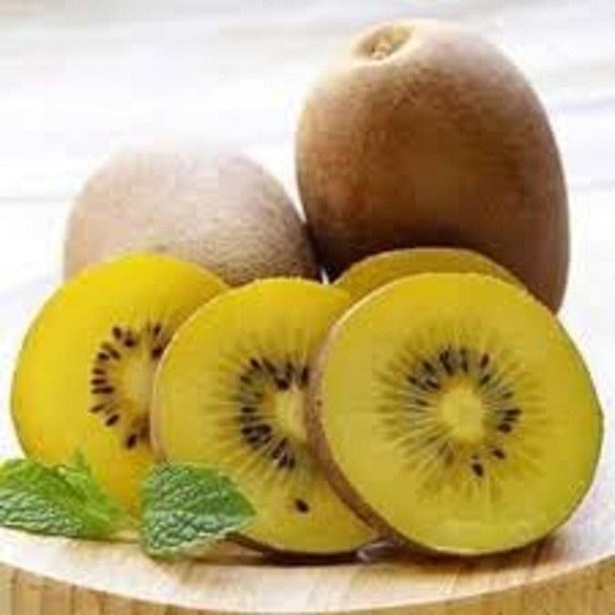 CÂY GIỐNG KIWI LEO GIÀN RUỘT VÀNG DÒNG QUẢ SỚM, CAM KẾT CHUẨN GIỐNG F1