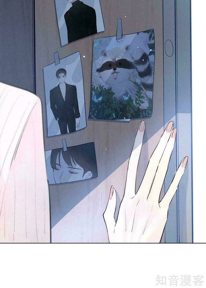 sắc đẹp do trời sinh của tôi chapter 6 24