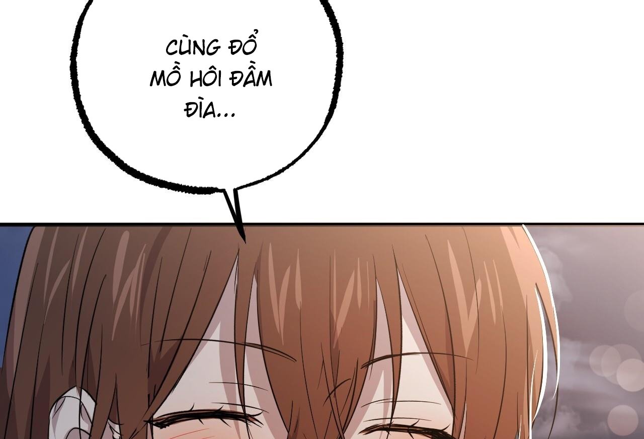 những chú thỏ của hapypy chapter 58 69