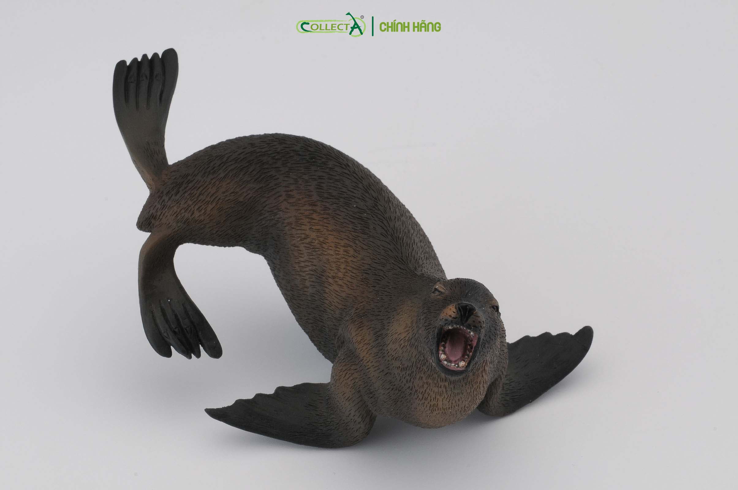 Mô hình thu nhỏ: Sư Tử Biển - Sea Lion, hiệu: CollectA, mã HS 9652070[88454] -  Chất liệu an toàn cho trẻ - Hàng chính hãng