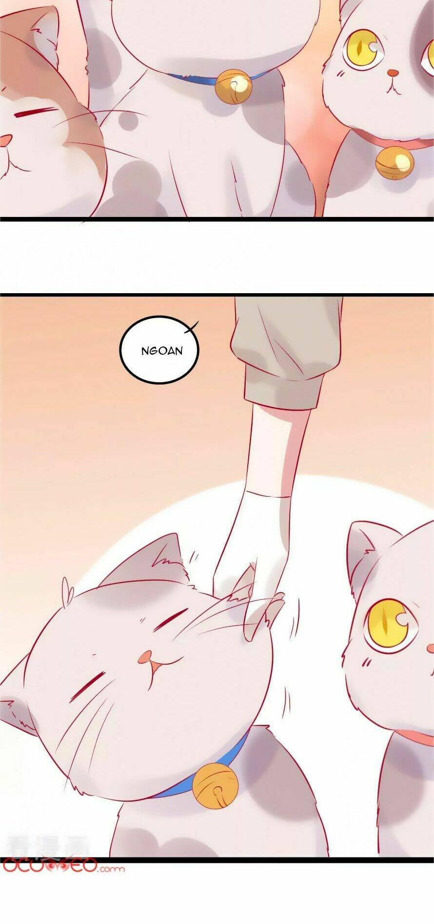 tổng tài, như vậy nhanh quá chapter 4.5 5