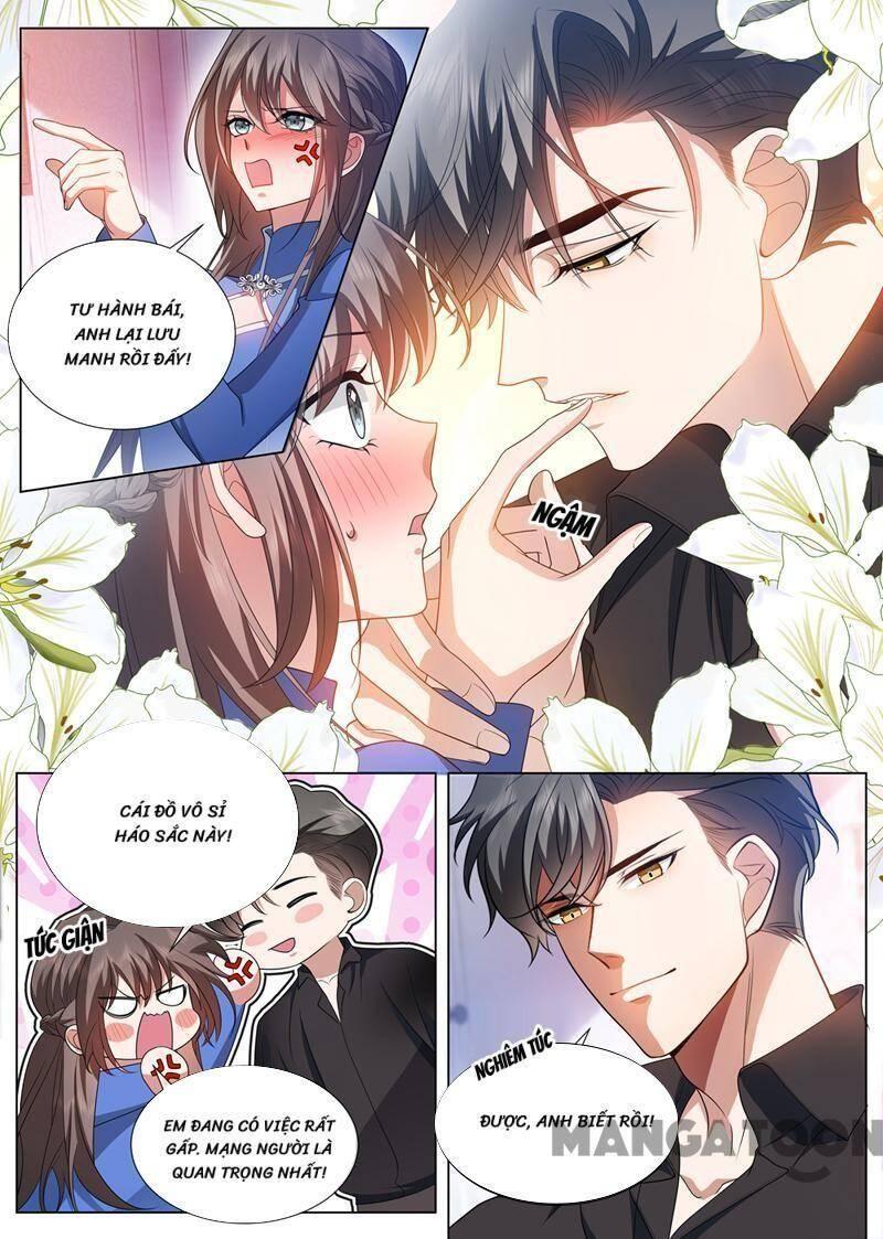 thiếu soái! vợ ngài lại bỏ trốn chapter 500 1