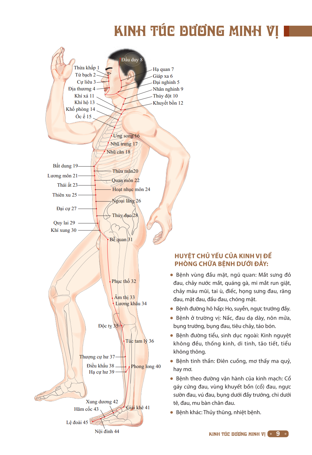 Đồ Giải Kinh Lạc Huyệt Vị Cơ Thể