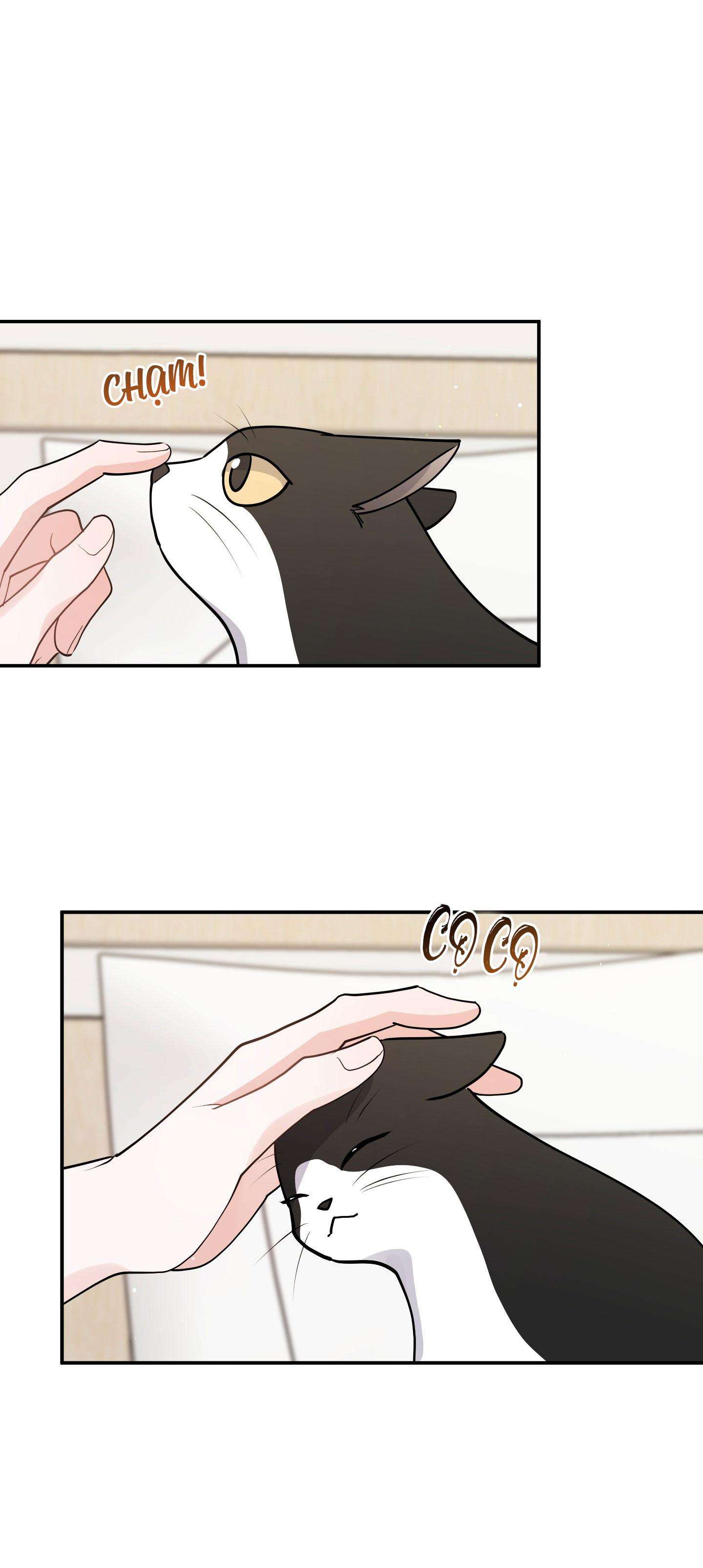 list truyện ngắn chịt chịt chapter 70 9