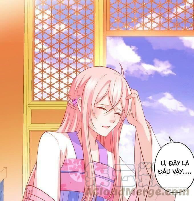 hồ tiên hung bạo chapter 103 4