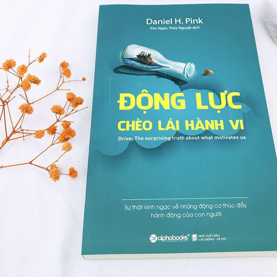 Sách - Động Lực Chèo Lái Hành Vi 