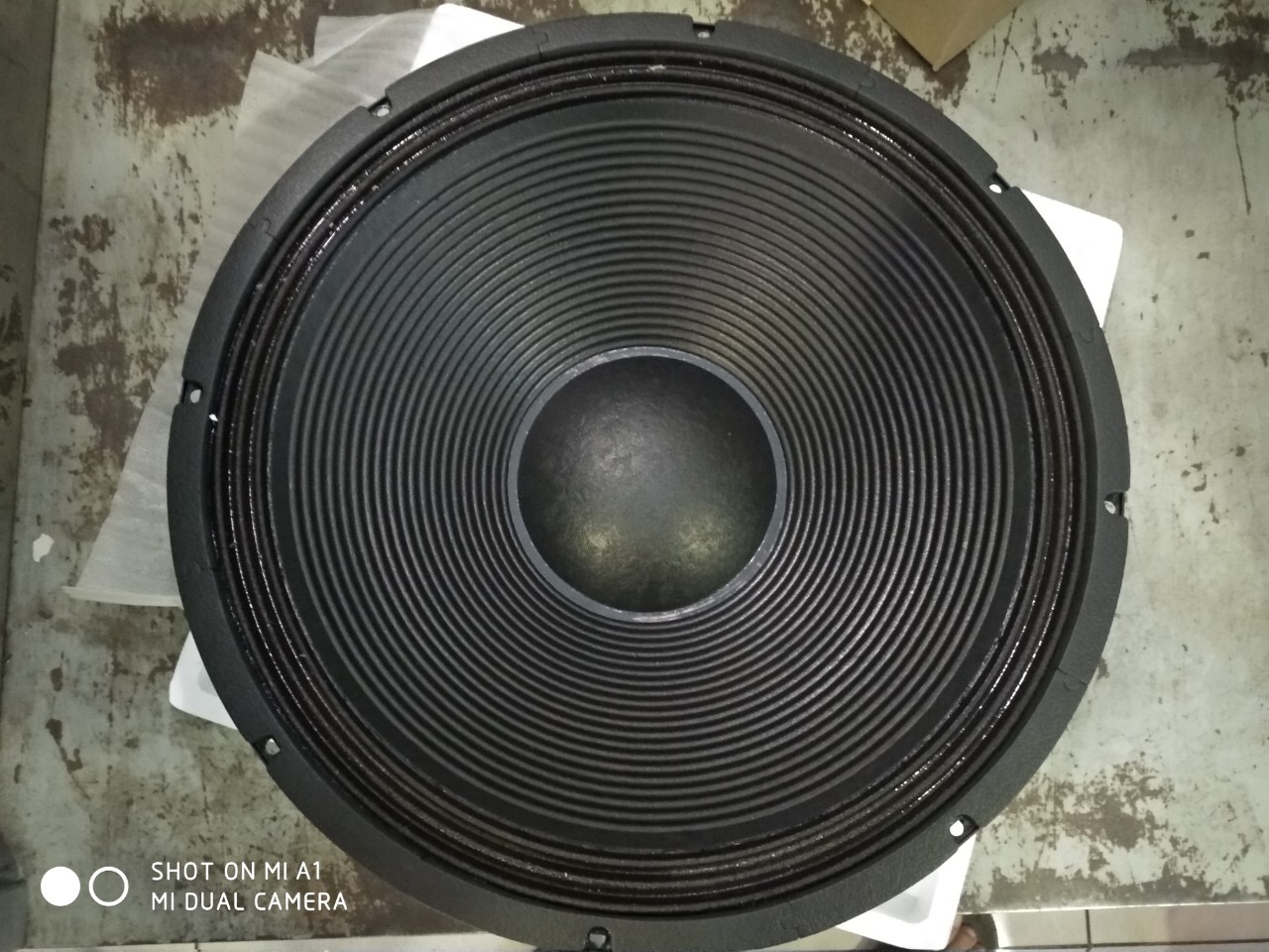 LOA RỜI PAUDIO 5 TẤC EM18-LB600 - Hàng Chính Hãng