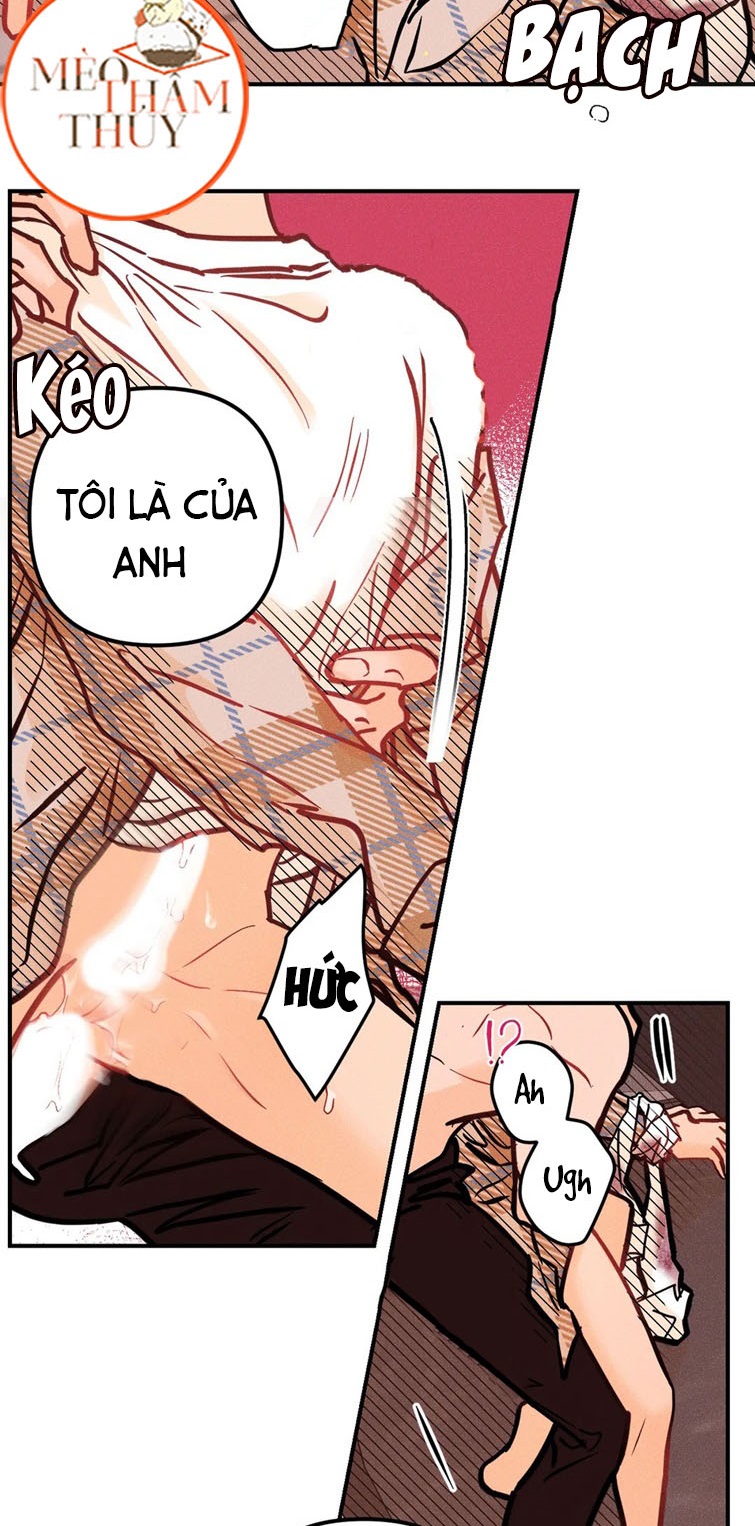 punk dunk funk chapter 40 7